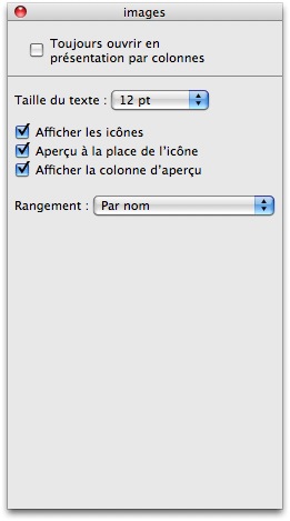 Options de présentation pour la vue par colonnes