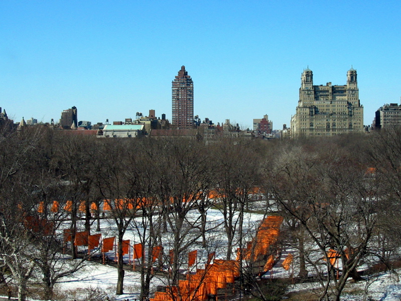 Central Park vu de l'observatoire du Metropolitan Museum of Art