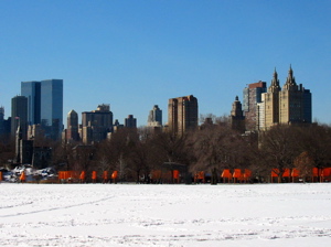 Centre-Ville de New York vu du parc