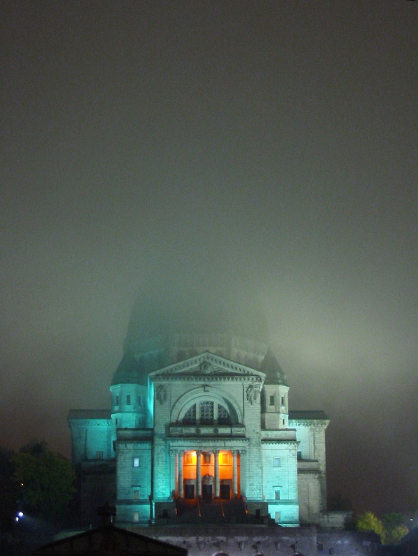 Dans la brume.