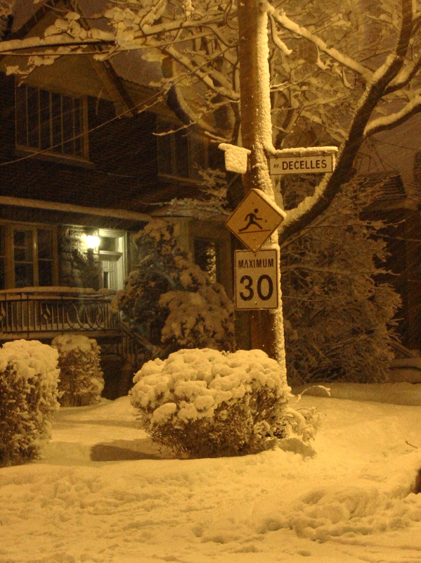 Nuit de neige.