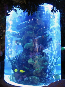 Aquarium de Rainforest Cafe