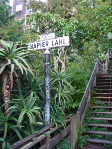 Napier Lane