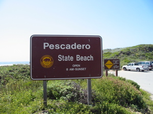 Pescadero State Beach