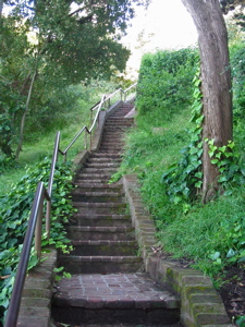 Escaliers de Filbert St. menant vers Coit Tower