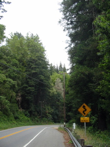 Remontée dans les terres : route sinueuse pour les 26 prochains miles (42 km)