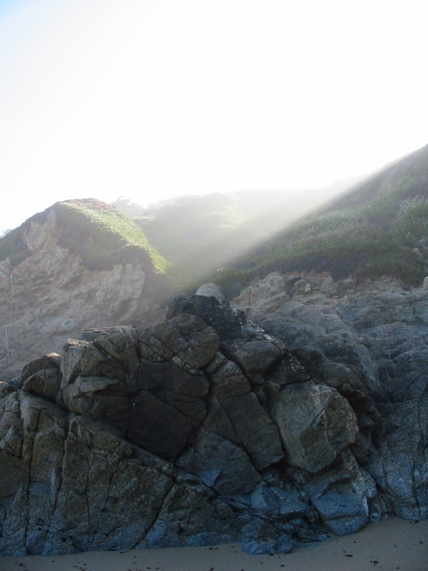 Brouillard sur le flan de la colline