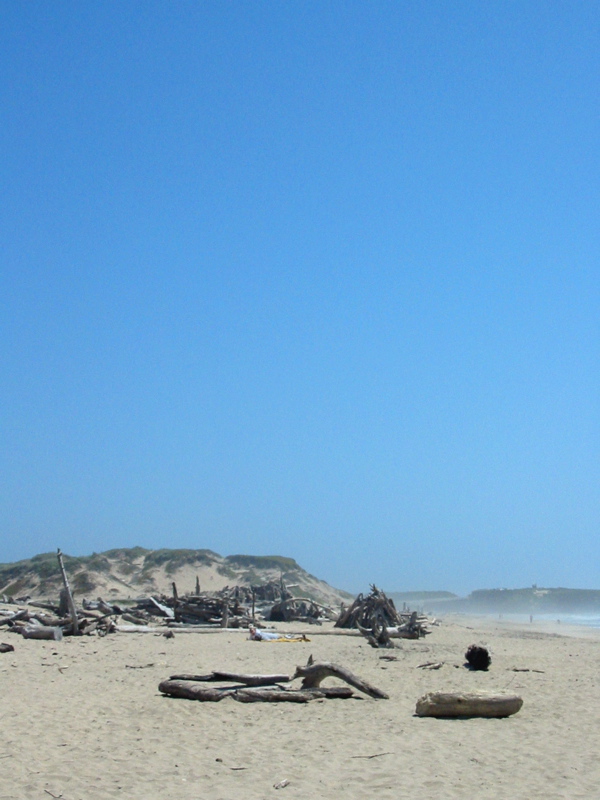 Bouts de bois sur la plage