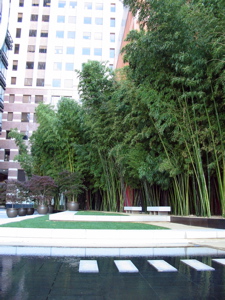 Espace de verdure érigé à la mémoire de Daniel H. Case III en bordure de l'édifice de JP Morgan Chase, 560 Market St.