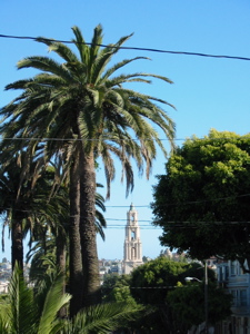Palmiers et basilique de Mission Dolores au loin
