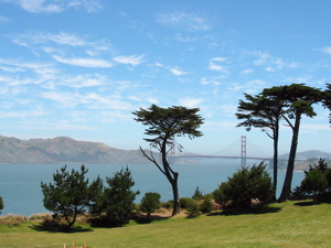 Pont du Golden Gate au loin